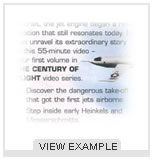 View Example